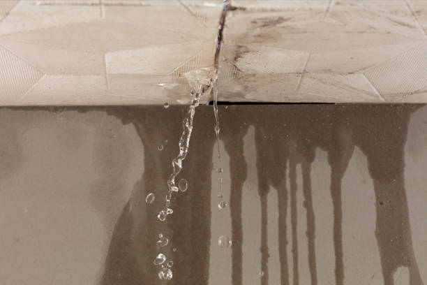 Professional Burst Pipe Cleanup technician working in Springfield, OH